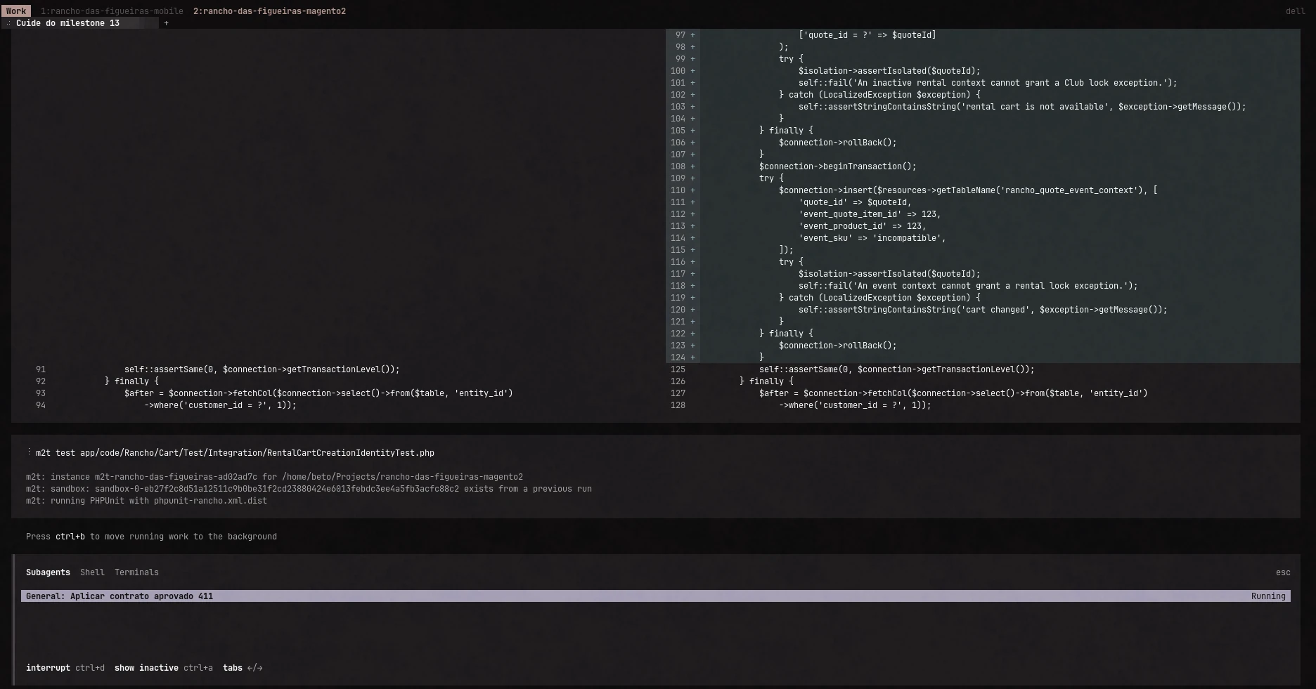 Agente no terminal trabalhando no projeto Magento e executando um teste integrado específico